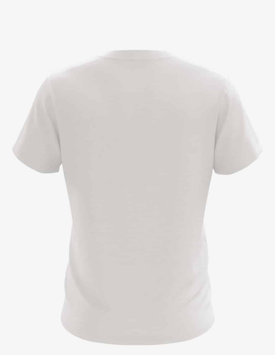 Prepared For Dye 2100